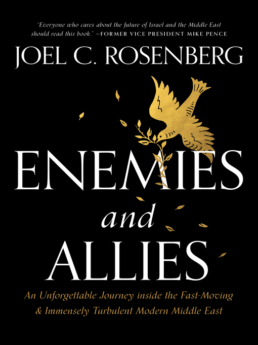 Cover of Enemies and Allies